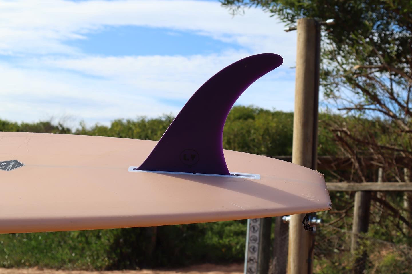LB Classic Raked - Purple